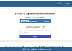 How to Use an M3U Playlist Editor Online (Free Tools & Tips)